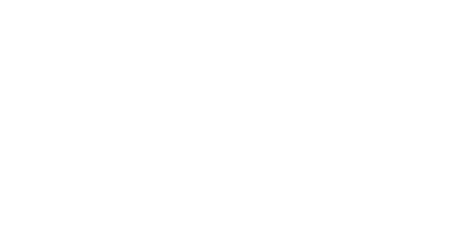 Provident Logo